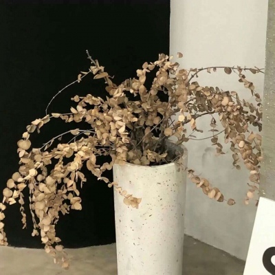 京山福瑞交流群